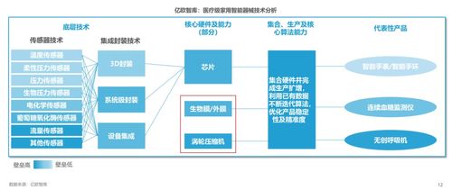 2023年家用醫(yī)療智能器械商業(yè)路徑發(fā)展報告 人工智能理論與算法軟件開發(fā)的融合與突破